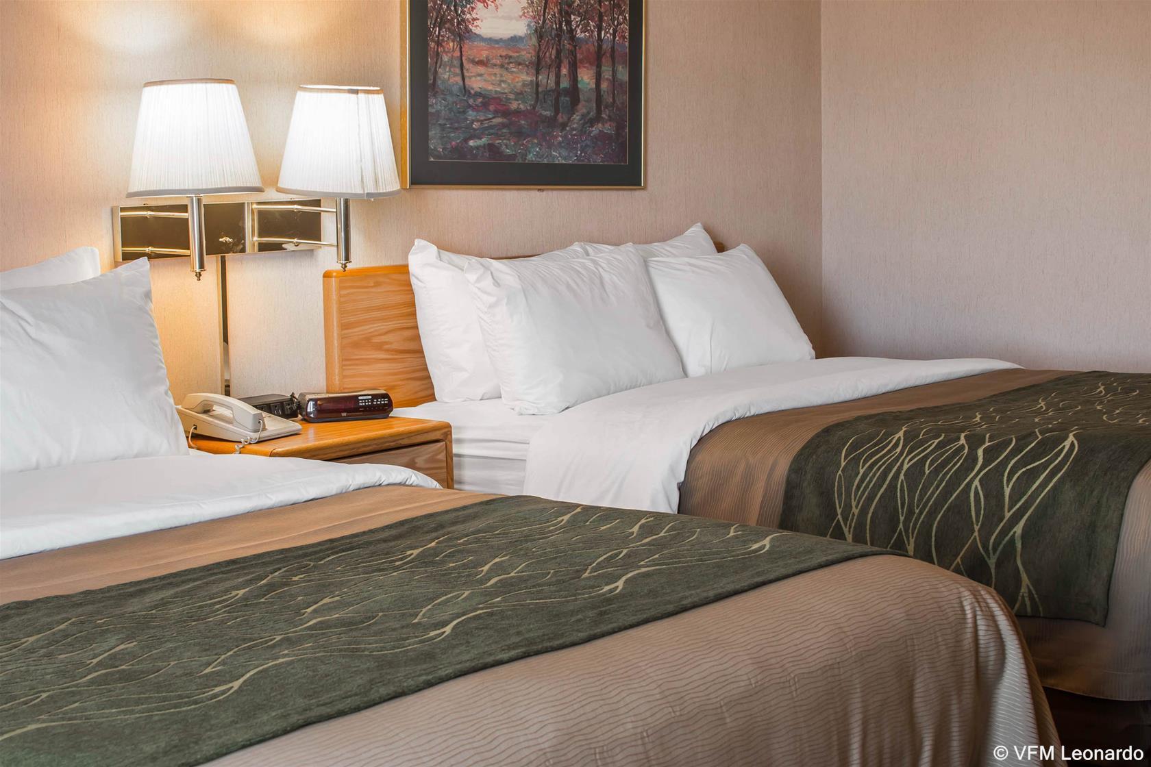 Comfort Inn Charlotte Exteriér fotografie